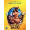 Medvědí bratři - DVD
