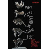 Why Cats Land on Their Feet (Levi)(Brožovaná)