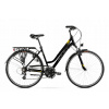 Mestsky bicykel - Black-Yellow-Gold City Bike R19 “ (Black-Yellow-Gold City Bike R19 “)