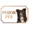 Border kólia - Kovová tabuľka POZOR PES