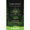 E-kniha Zaklínač VI.: Veža lastovičky - Andrzej Sapkowski, Brian Terrero (ilustrátor), Jakub Šimjak (ilustrátor)
