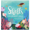 Shells: A Pop-Up Book of Wonder
