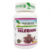 Indická Valeriána Planet Ayurveda ajurvéda kapsule