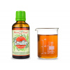 Inulin - bylinné kapky (tinktura) 50 ml - doplněk stravy