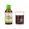 Migrestop Kvapky - Tinktúra 50 ml (Zmes Bylín - Migréna)