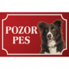 Border kólia - Kovová tabuľka POZOR PES