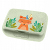 Koziol Box Candy Harry L
