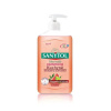 Sanytol dezinfekčné tekuté mydlo do kuchyne 250 ml