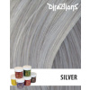 Directions Barva Silver 88ml