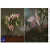 Ryžový papier Apple Blossom & Orchid Rozmer: A3