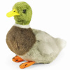 RAPPA Plyšový pták kachna divoká 13 cm