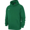 Nike Y NK FLC PARK20 PO HOODIE cw6896-302