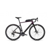 Focus PARALANE 8.8 28DI Violett/Carbon 2025 - M