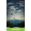 E-kniha Štít/Sen - D. Budzak