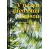 V úžasu před Boží krásou - Veronika Blažek Iňová