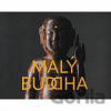 Malý Buddha - Jana Ryndová