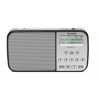 TechniSat TechniRadio RDR XL, silver