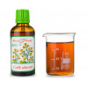 CELÍK OBECNÝ BIO - bylinné kapky - tinktura 50 ml BYLINNÉ KAPKY