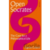 Open Socrates - Agnes Callard