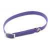 Firedog BioThane obojok Basic 13 mm 20-28 cm fialový