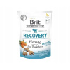 Brit snack Recovery herring & sea buckthorn 150 g