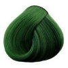 BLACK Sintesis Farba na vlasy 100ml - zelená VERDE