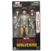 Hasbro Deadpool & Wolverine Marvel Legends Action Figure Headpool with Marvel's Logan 15 cm