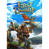 First Dwarf - Steam PC