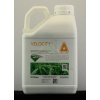 Velocity, 5 l