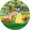 CUKROVÁ TLAČ jedlý obrázok na tortu Cukrová hmota SNEHOVÁ KRÁĽOVNÁ PRINCESS #1