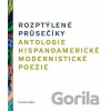 Rozptýlené průsečíky - Literární salon