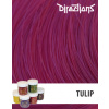 Directions Barva Tulip 88ml