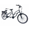 Tandemový tandemový tandemový tandemový bicykel (350 W elektrický tandemový bicykel s prémiovým motorom)
