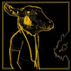 Shakey Graves - Roll the Bones X / 2CD [2 CD]