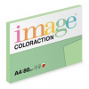 Jungle Coloraction A4 80 g/m2 100 listů