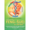 Velká kniha feng-šuej o zdraví - Wilhelm Gerstung, Jens Mehlhase