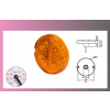 svetlo obrys.LED oranž.12/24V- PRO-BUTTON-okrúhle-s odrazkou/4-ľadky/