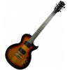 Pasadena LP-19 Sunburst