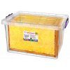 OBDLŽNÍKOVÝ KONTENNER MULTI BOX 30L NA VČELIE RÁMY *4146
