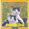 Koťátko a jiná zvířátka