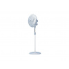 Vortice Gordon C40/16