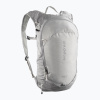 Turistický batoh Salomon Trailblazer 10 l cloudburst/paloma/silver