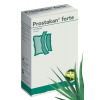 PROSTAKAN FORTE cps mol 160 mg/120 mg (blis.PVC/PVDC/Al) 1x60 ks Dr. Willmar Schwabe GmbH&Co. KG
