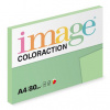Forest Coloraction A4 80 g/m2 100 listů