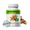 ❤️ MycoMedica CORDYCEPS CS-4 | Húsenica čínska | Ophiocordyceps sinensis ❤️ AKCIA: ✅ od 2 ks 📉 - 7 % až - 13 % ZĽAVA ❤️ 90 rastlinných kapsúl po 500 mg extraktu ❤️ MycoMedica® - KVALITNÉ Prírod