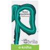 E-kniha Platforma - Michel Houellebecq