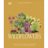 Wildflowers
