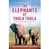 The Elephants of Thula Thula
