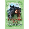 Zaříkávačka koní Zakázaný turnaj - Gina Mayerová