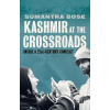Kashmir at the Crossroads